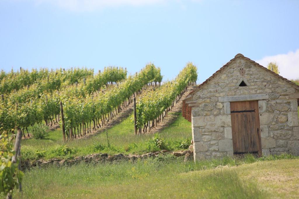 Logis Hotel-Restaurant Le Chene Vert Saint-Pourcain-sur-Sioule Luaran gambar